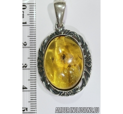 Genuine Baltic amber silver pendant with fossil insect- Fly.