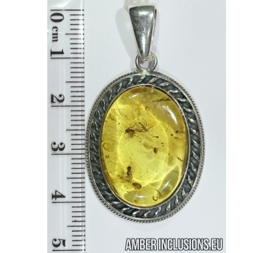 Genuine Baltic amber silver pendant with fossil inclusions -  3 Flies and Ant
