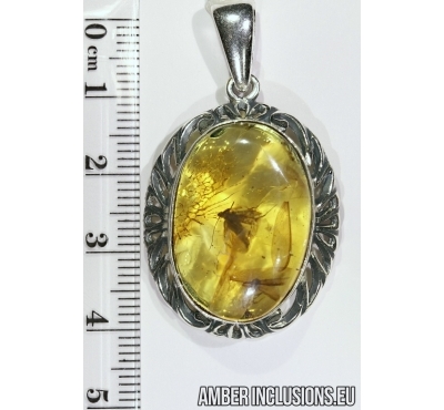 Genuine Baltic amber silver pendant with fossil inclusions - Caddisfly and Termite.
