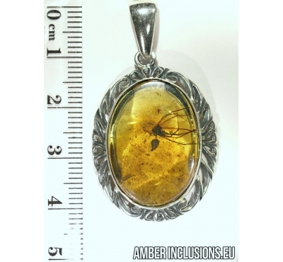 Genuine Baltic amber silver pendant with fossil inclusion - Spider.