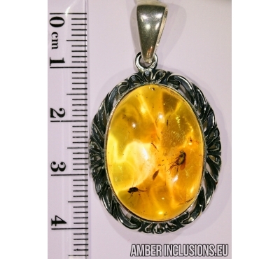 Genuine Baltic amber silver pendant with fossil insects-  2 Flies