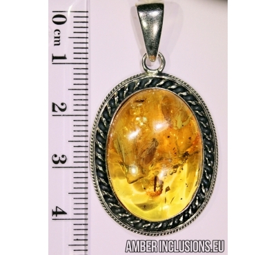 Genuine Baltic amber silver pendant with fossil inclusion - Caddisfly.