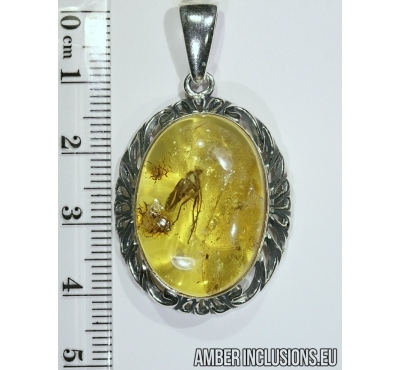 Genuine Baltic amber silver pendant with fossil insect-  Big Fly.
