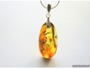 Silver pendant. Swarm of Crane Flies, Limoniidae and Spider. Fossil insects in Baltic amber #7445