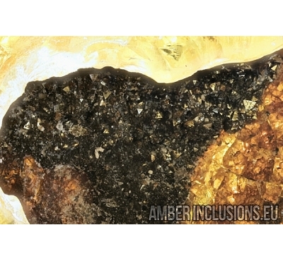 Pyrite cluster with Crystals. Fossil inclusion in Baltic amber #7762