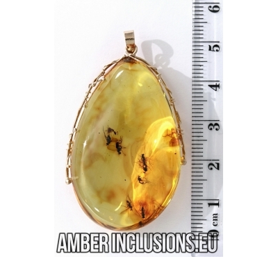 Genuine Baltic amber gold pendant with fossil inclusions -  7 Flies and Ant