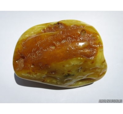 Genuine BALTIC AMBER Stone. 268 grams #st-036