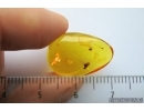 Nice Spider and Fly in Baltic amber #4512