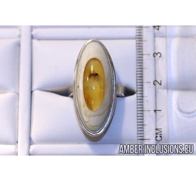Genuine Baltic amber silver ring with fossil inclusion - Fly