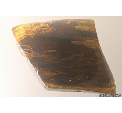 Nice Big 40 mm Wood fragment. Fossil inclusion Baltic amber stone #13366