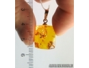 Genuine Baltic amber golden 14k pendant with fossil insects - 3 flies #g090_008