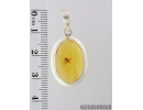 Genuine Baltic amber Silver pendant with fossil insect- Long-legged fly Dolichopodidae. #s050-008